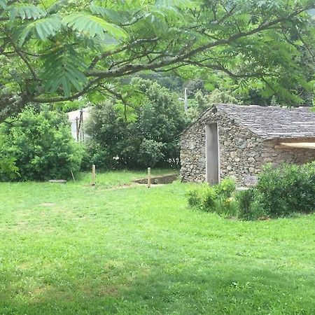 Olivetu Βίλα Sisco Εξωτερικό φωτογραφία